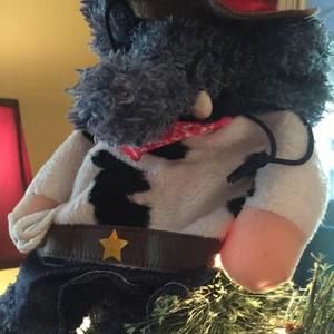 Meet your Posher, Rebecca